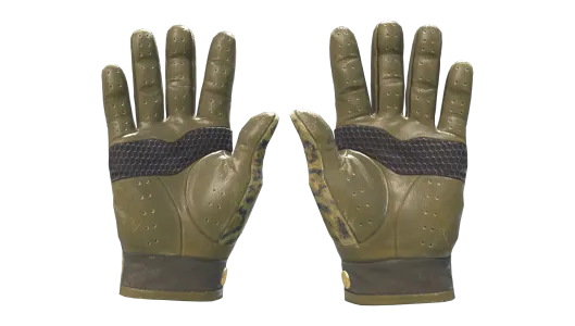 Skin's image