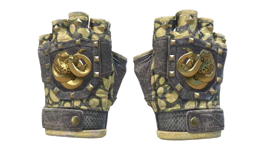 Skin's image