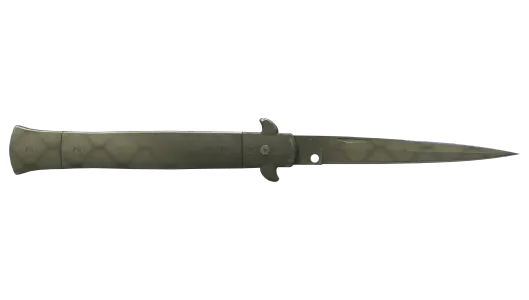 Skin's image