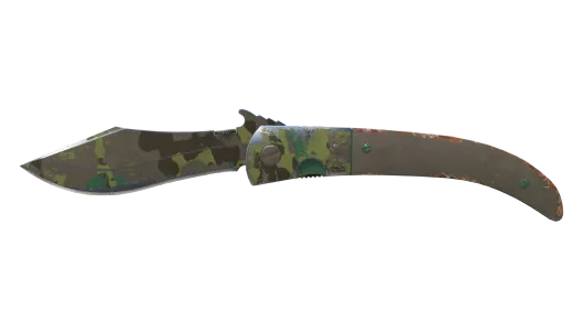 Skin's image