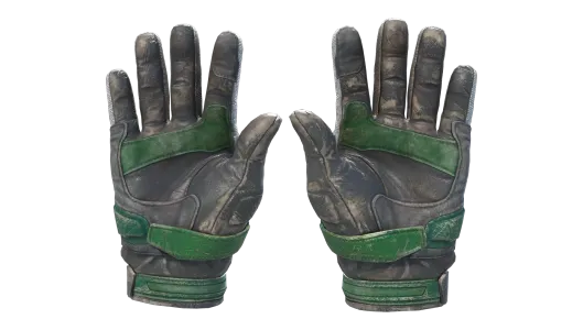 Skin's image