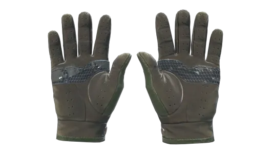 Skin's image