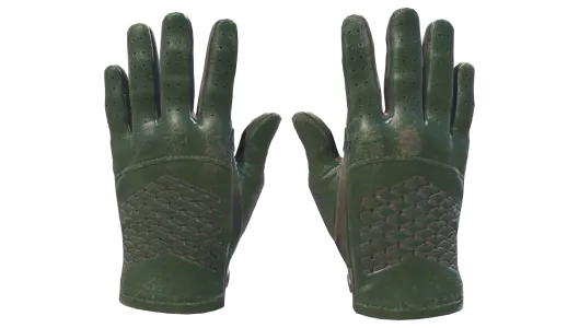 Skin's image
