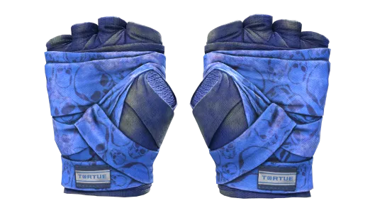Skin's image