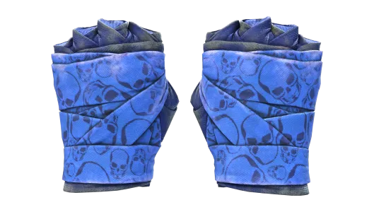 Skin's image