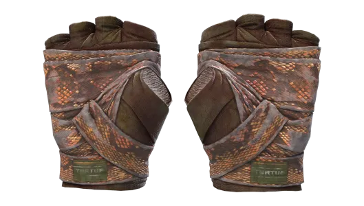 Skin's image