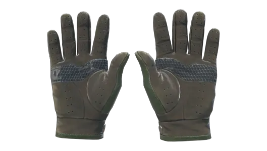 Skin's image