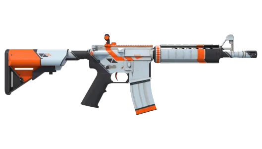 Skin's image