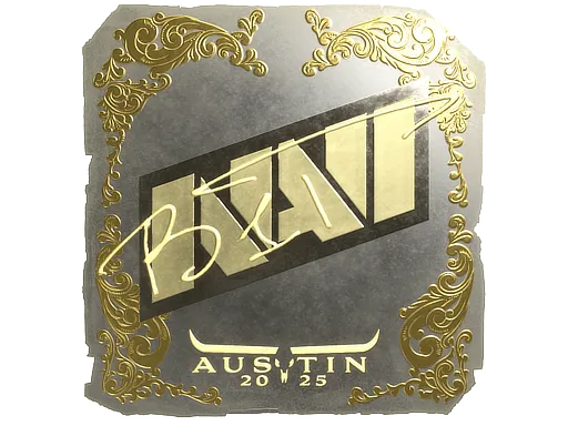 Skin's image