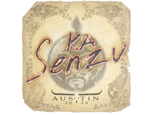 Skin's image