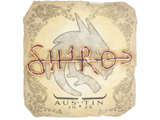 Skin's image