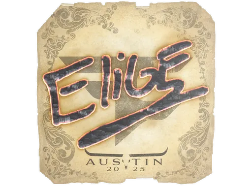Skin's image