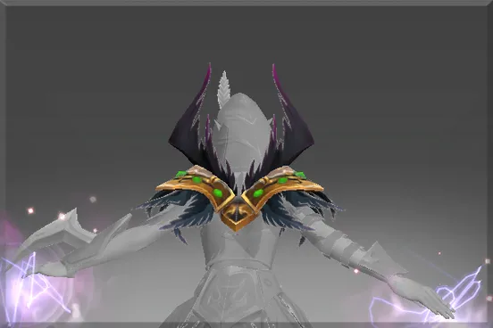 Skin's image