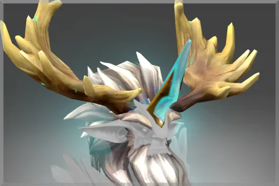 Skin's image
