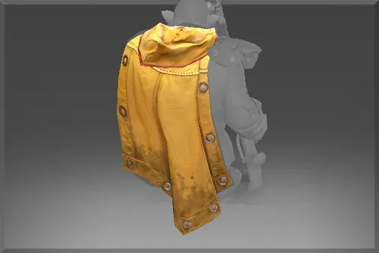 Skin's image