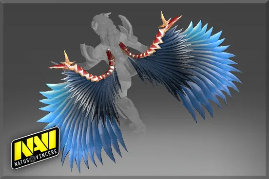 Skin's image