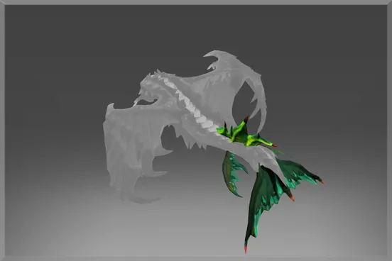 Skin's image