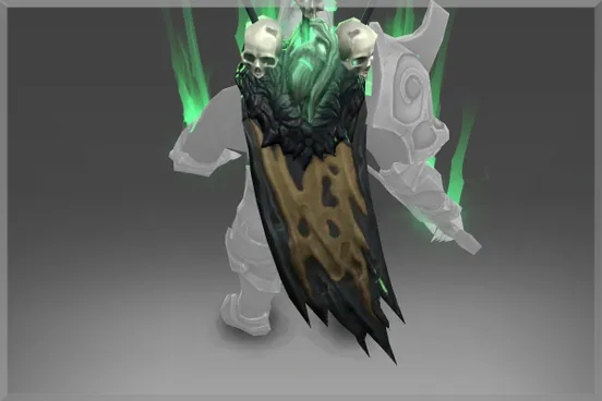 Skin's image