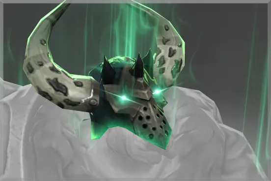 Skin's image