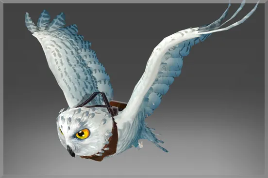 Skin's image