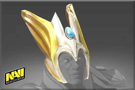 Skin's image