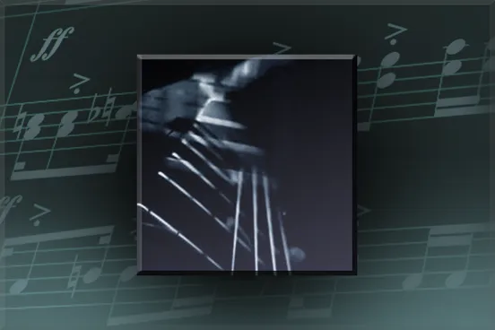 Skin's image