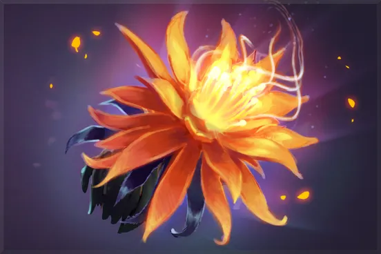 Skin's image