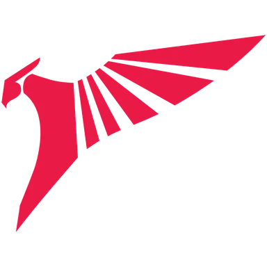 Skin's image