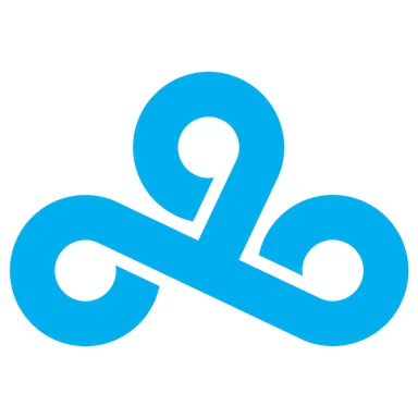 Skin's image