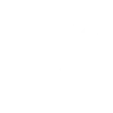 Skin's image