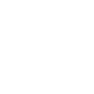 Skin's image