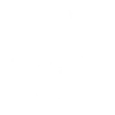 Skin's image