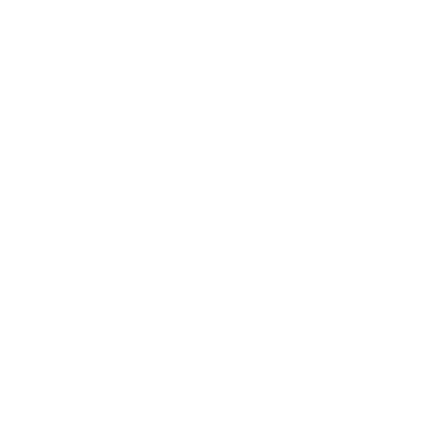 Skin's image