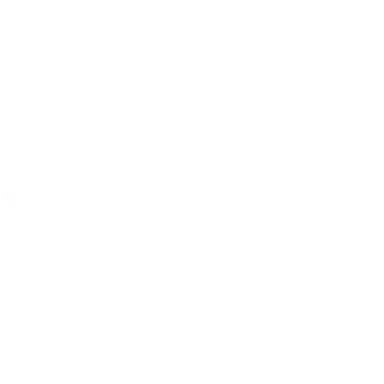 Skin's image