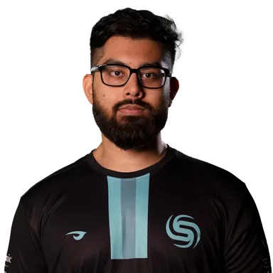 Skin's image