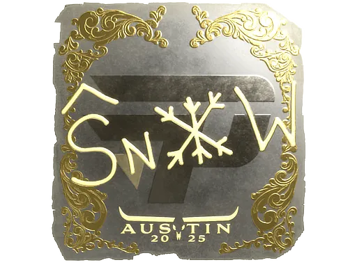 Skin's image