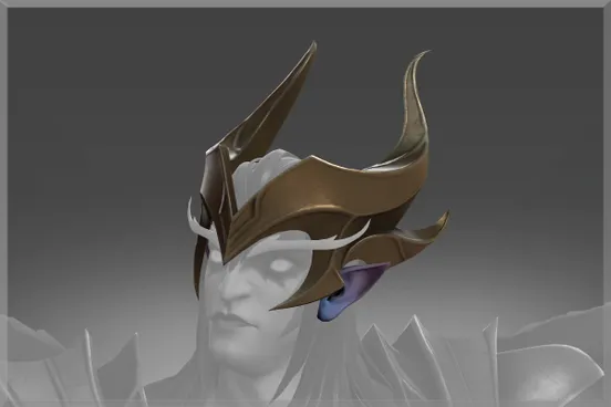 Skin's image