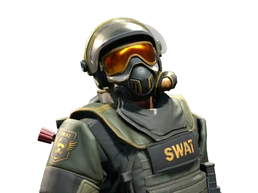 Skin's image