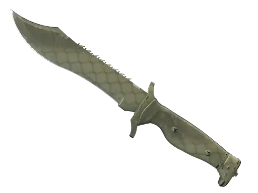 Skin's image