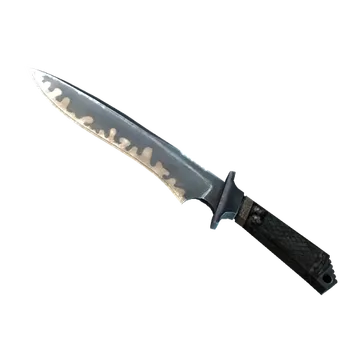 Skin's image