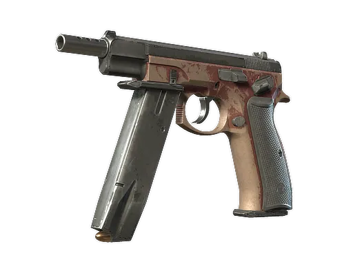 Skin's image