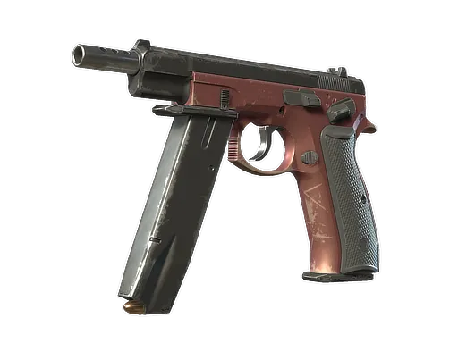 Skin's image