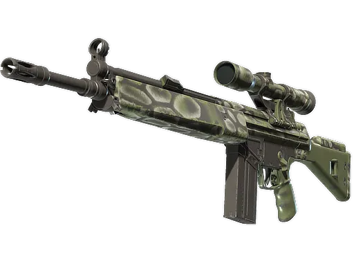 Skin's image