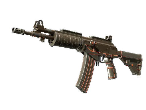 Skin's image