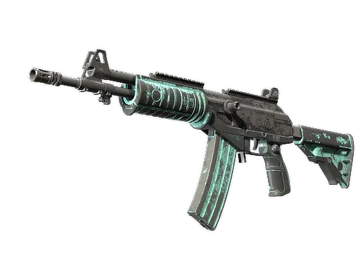 Skin's image