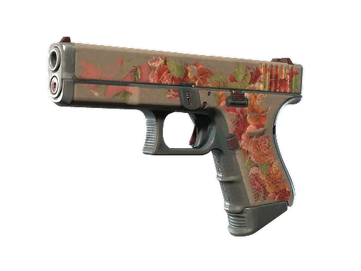 Skin's image