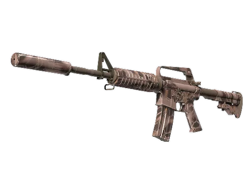 Skin's image