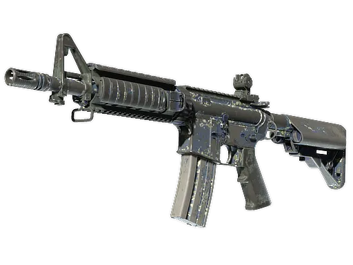 Skin's image
