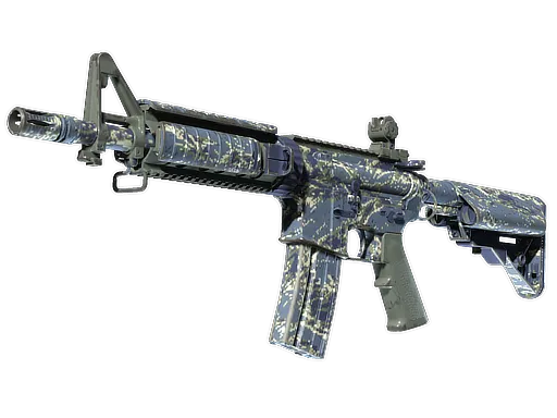 Skin's image