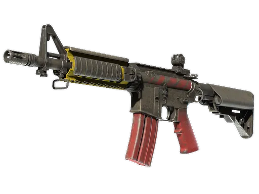 Skin's image